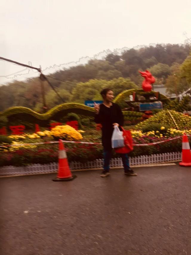 武汉大学婚纱照 武汉大学可以拍婚纱照吗