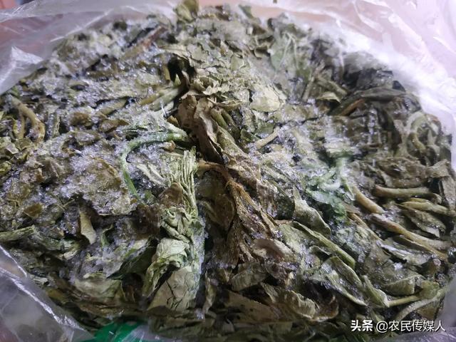 种植哪些树木最有前景?(20种)