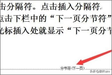 在WPS中插入分节符删除分节符？：wps删除分节符