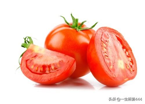植物百科西红柿，西红柿植物小百科