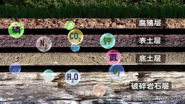 土壤不够肥沃怎么改善(图20)
