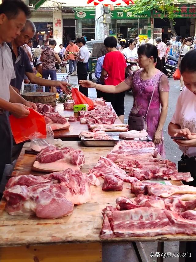 肉猪养殖前景-肉猪养殖前景如何