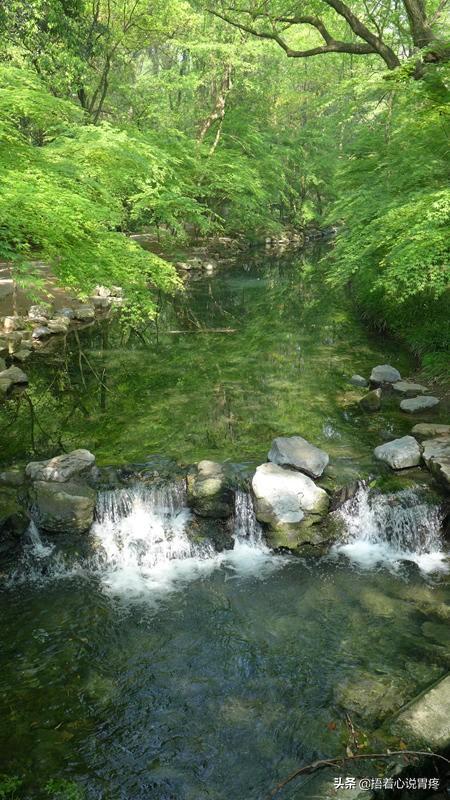 泰顺松阳旅游景点大全排名， 泰顺县松阳乡