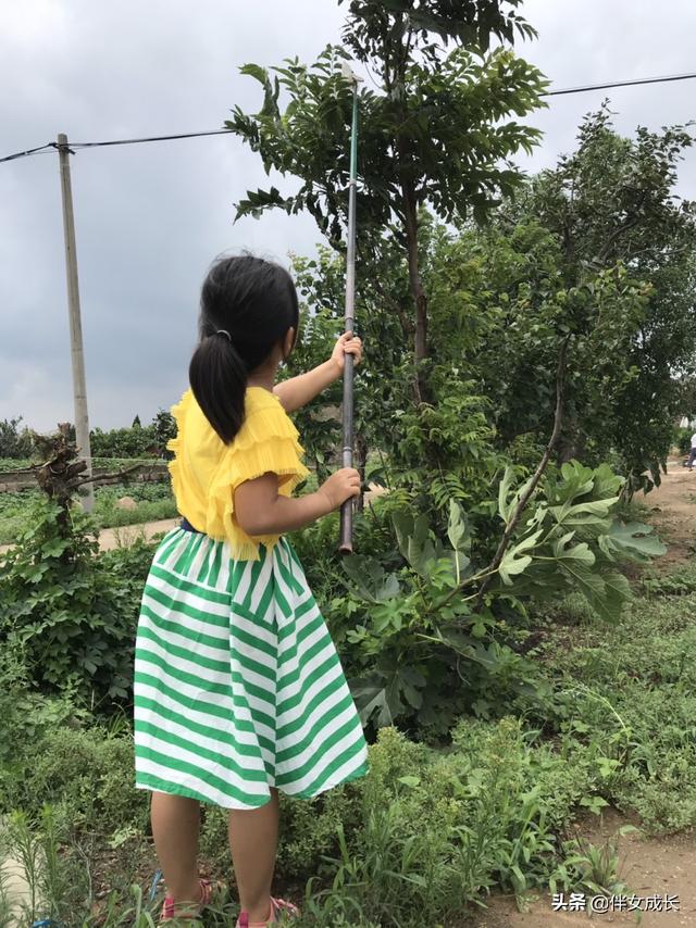 女人带娃有什么好处呢(图27)