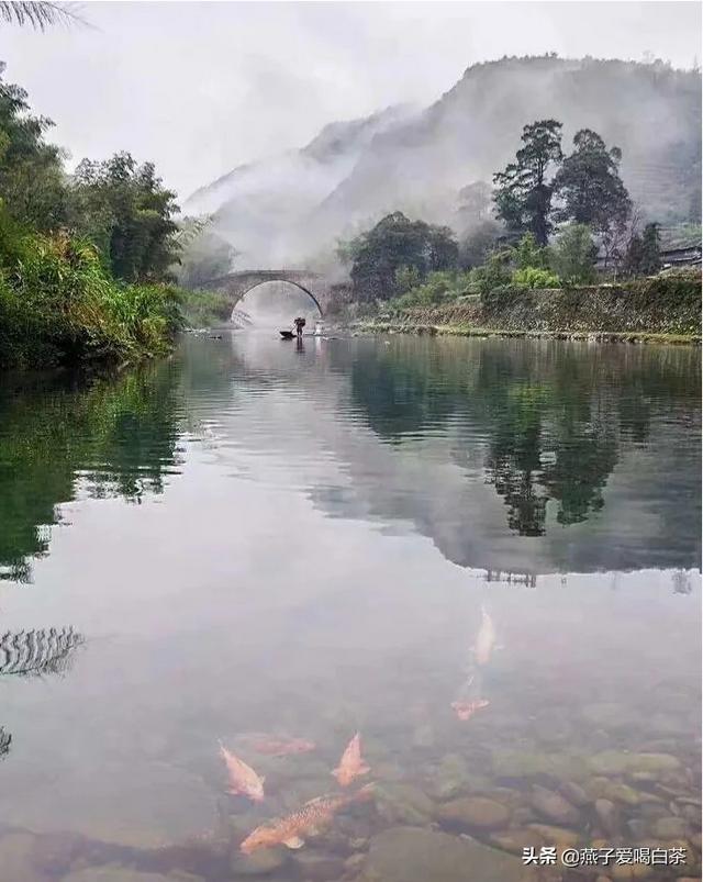 50岁以上的人买什么保险最好，50岁以上的人买什么保险最好一般多少钱
