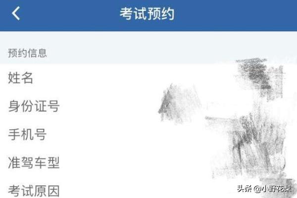 驾照预约考试登录入口-驾考网上预约全流程，教你轻松约考？