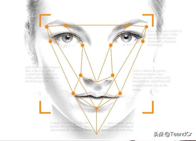 图像识别app开发