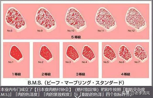 和牛的等级判定,第5张
