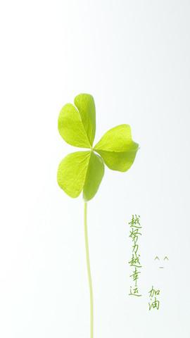 幸福的理解和定义（幸福的理解和定义是什么）