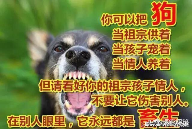 那里買寵物?那里買寵物好點!