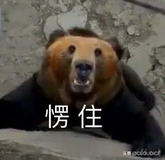为什么会突然喜欢一首歌，整天听个不停，喜欢听什么歌有意境的句子 - 句子网
