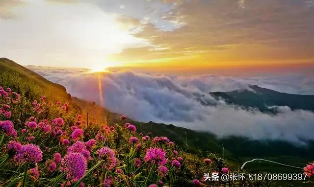 新婚2个月丈夫离世