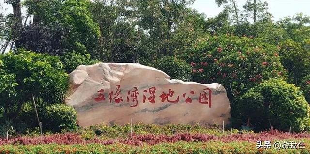 厦门市哪个公园好