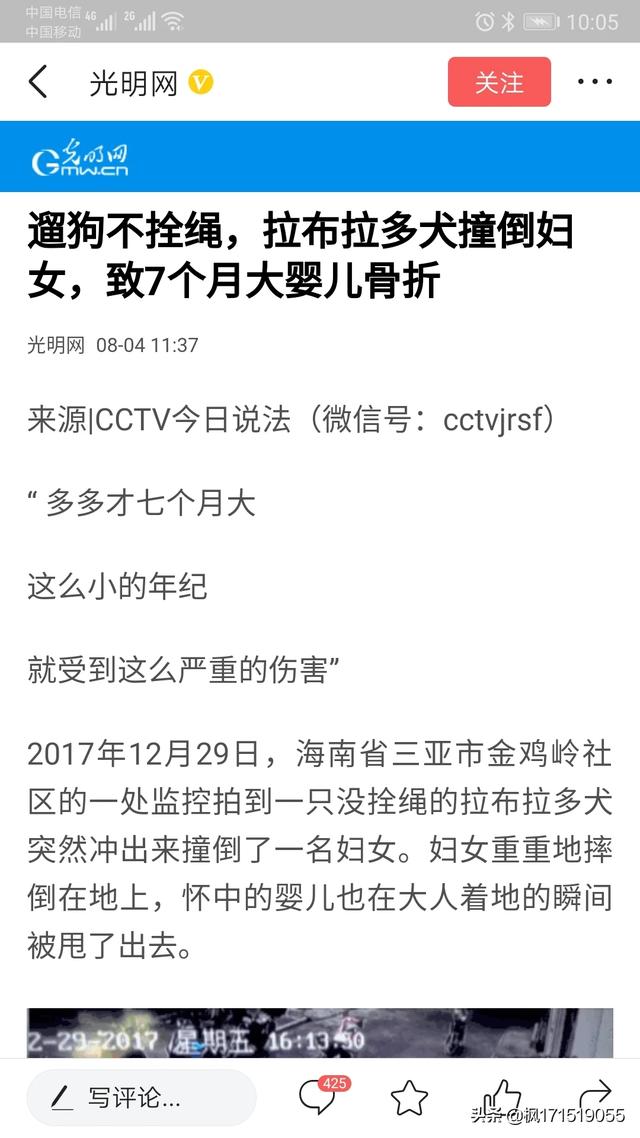 拉布拉多犬办不了证怎么办，有什么办法,第1张