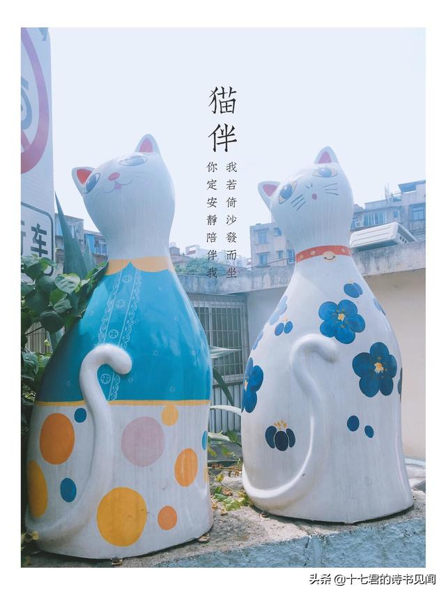 厦门有哪些适合跟孩子一起去玩的景区呢？