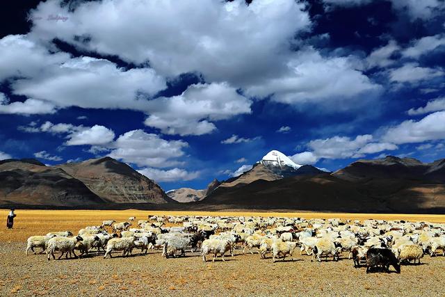 去西藏旅行拍照衣服什么好看？
