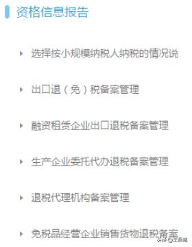 提升纳税人满意度，优化营商环境——江苏电子税务局的突破与成就，