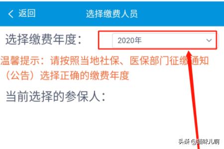 微信里怎么交城乡医疗保险，微信里怎么交城乡医疗保险的钱
