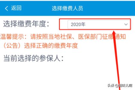 山东城乡居民医疗保险缴纳，山东城乡居民医疗保险缴纳时间