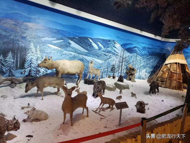 旅店团购（团购怎么做？）