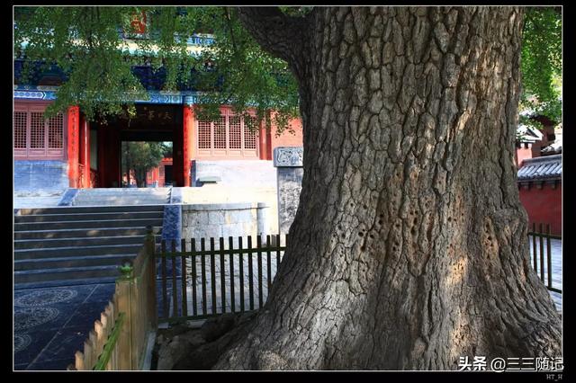 中国最大最出名的少林寺在哪里