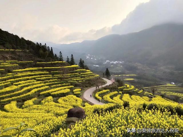 婺源旅游攻略路线， 黄山婺源旅游攻略路线