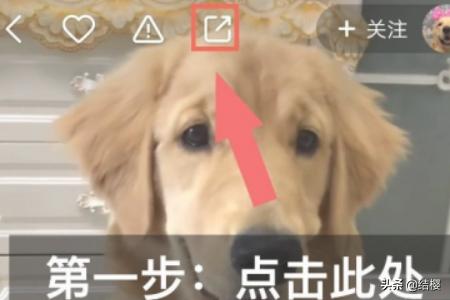 视频如何去除水印（怎么去掉视频水印？怎么去掉视频水印？）