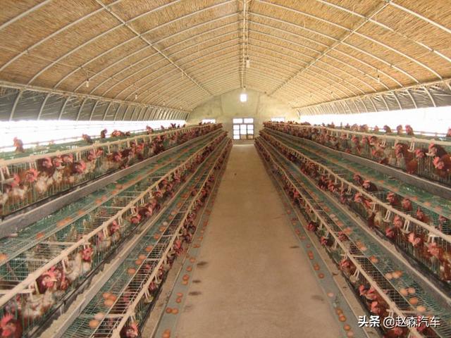 30种菜的做法大全视频(图3)