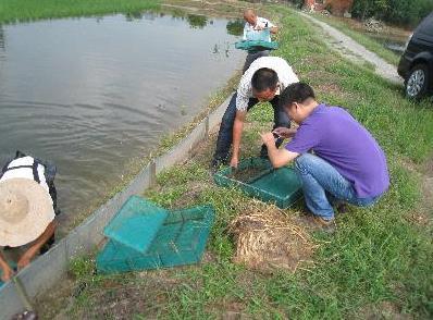 哪里可以学种植或者养殖技术专业 杭州或是浙江省内的哪里有靠谱的学习农业种植，养殖技术的地方？