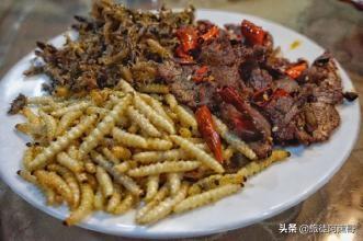 成都市买烤包子的地方有哪些