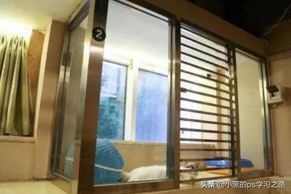 寵物店服務項目?寵物店服務項目都有哪些!