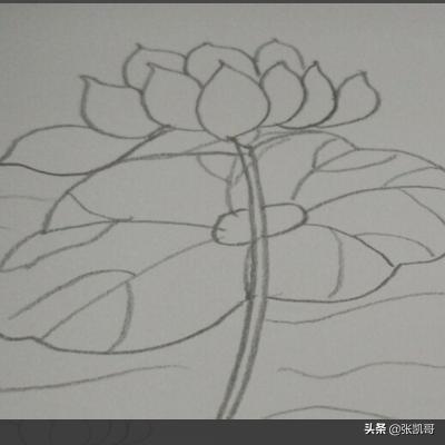 油画花卉绘画步骤?油画花卉绘画步骤图!