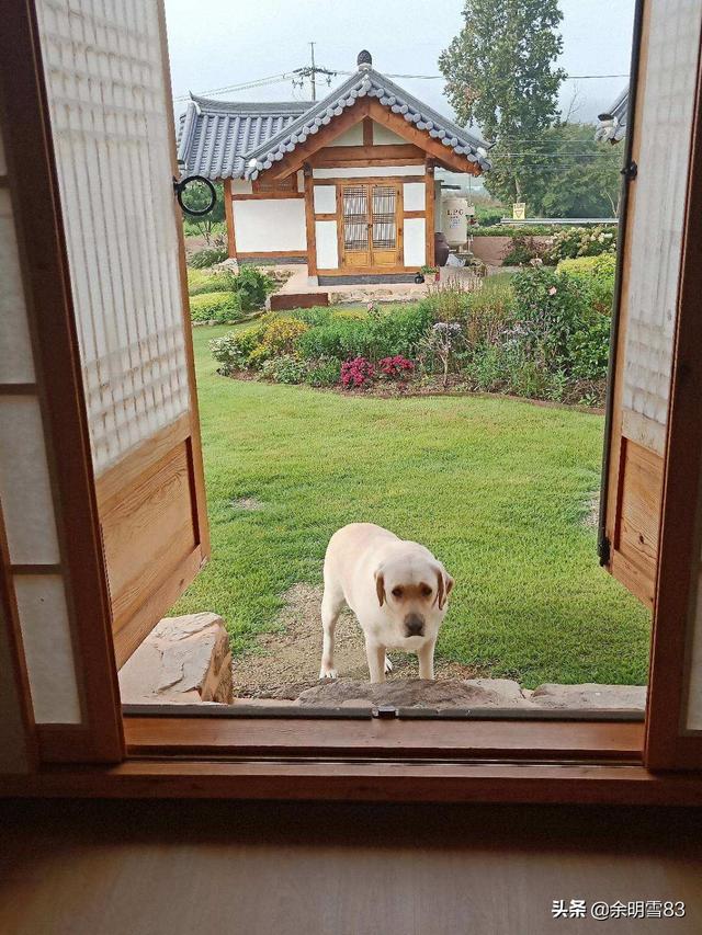 韩国旅游穿搭海边， 韩国旅游穿搭海边视频