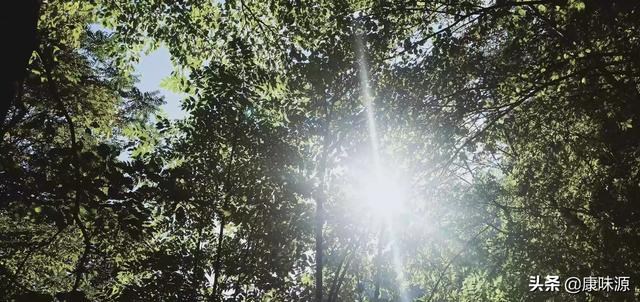 养殖业种植业什么最赚钱农村的 种植业或养殖业有什么好的项目？