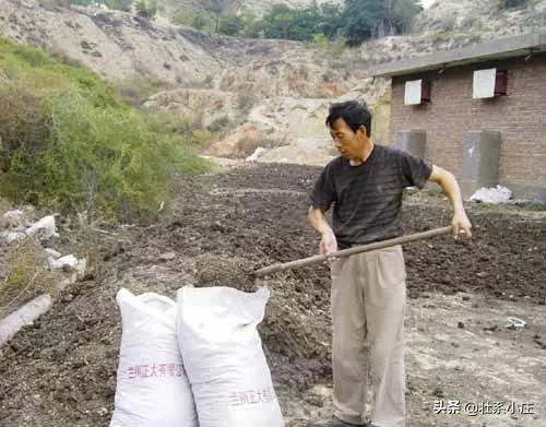 养鸡场鸡粪处理? 养鸡场鸡粪处理设备!