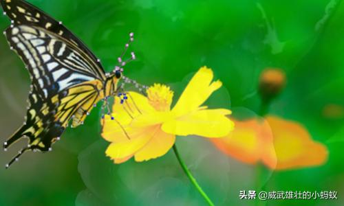 蒙版的作用ps蒙版的作用