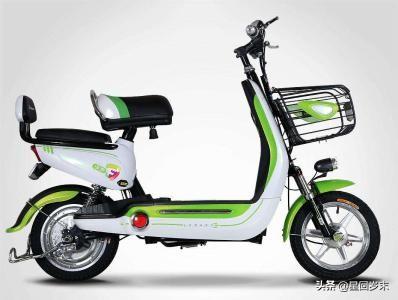 电动车全国排名前十名（电动车全国排名前十名有哪些）