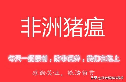 猪饲料不加同源血浆会怎么样-