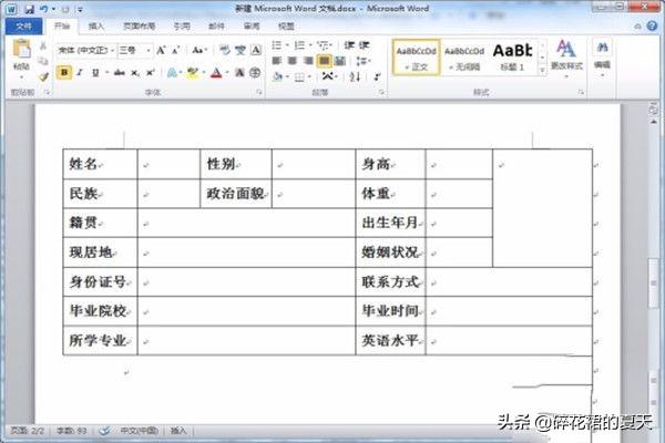 个人简历表格样本 简历表电子版免费