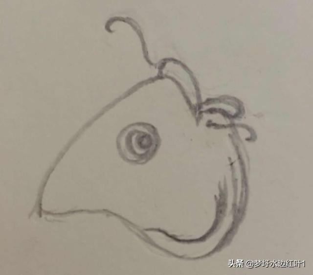画锦鲤如何搭配颜色衣服(图3)