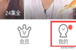 爱奇艺vip爱奇艺vip可以几个人一起使用