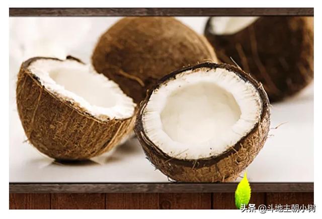 椰子肉怎么做椰果干吃(图2)