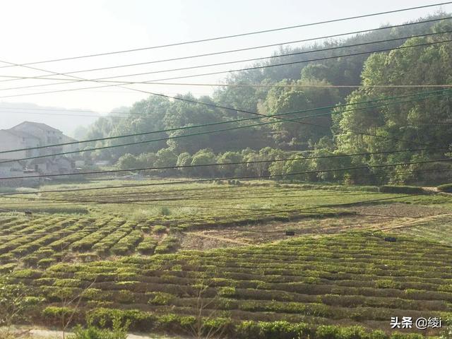 搭建网站有哪些好处