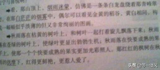 什么在山上(什么在山上吃草)