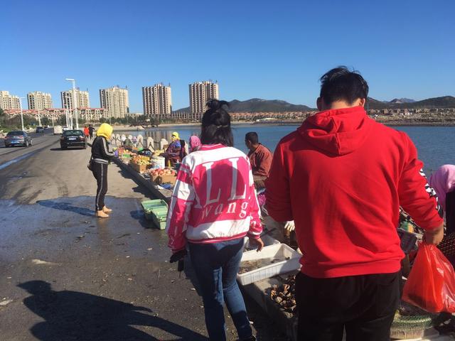 小学生旅游计划怎么做,小学生旅游计划怎么做图片