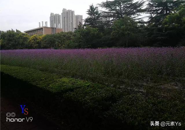兰州市哪里有修照相机的