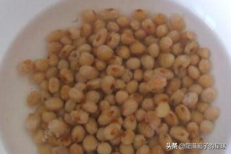 金鱼当饲料-金鱼饲料可以当花肥吗