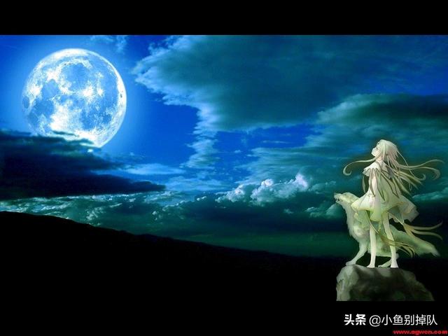 一只兔子来编一个简单的故事，你会怎么说