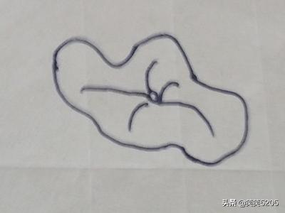 荷花的照片荷花的照片真实图片