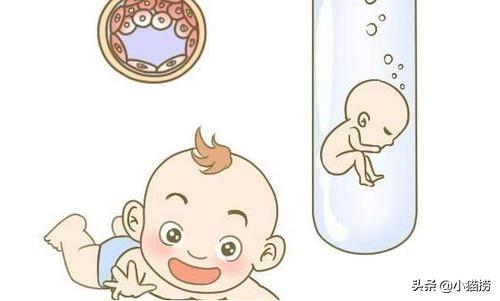 女人做试管会影响寿命(图3)